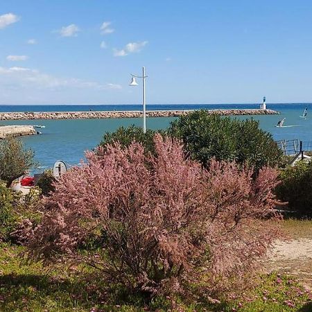 T3 Carnon, 1Ere Ligne 50M Plage Terrasse Parking Mauguio Εξωτερικό φωτογραφία