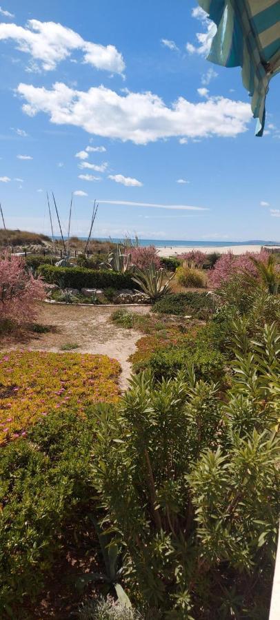 T3 Carnon, 1Ere Ligne 50M Plage Terrasse Parking Mauguio Εξωτερικό φωτογραφία